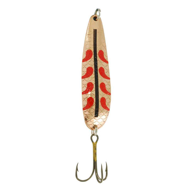 Salamander Trout