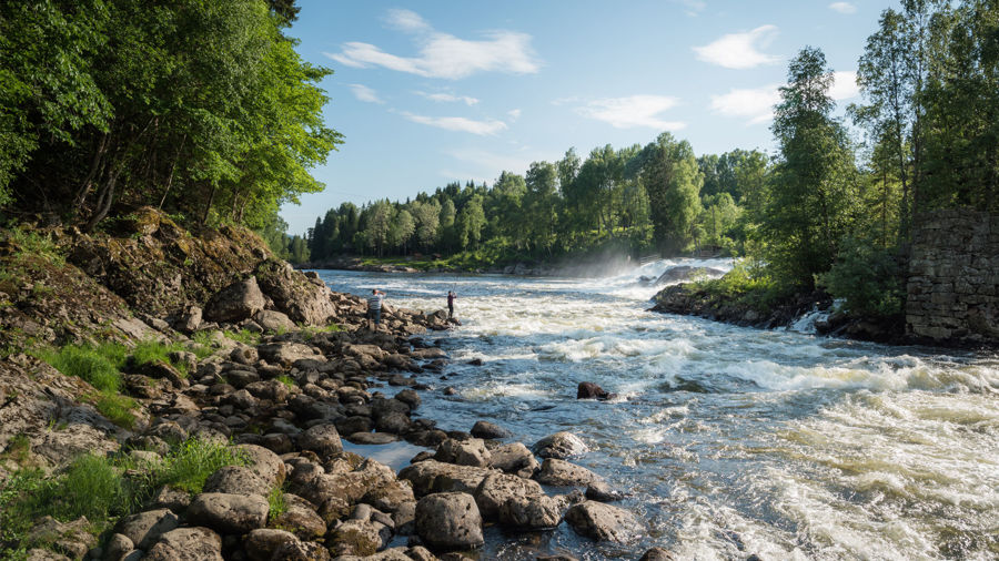 De beste lakseslukene akkurat nå