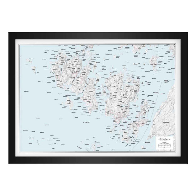 VEGGKART HVALER