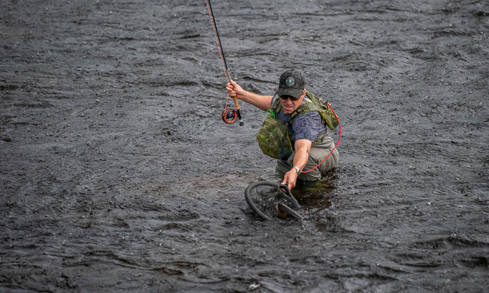 Bilde for kategori Fluefiske