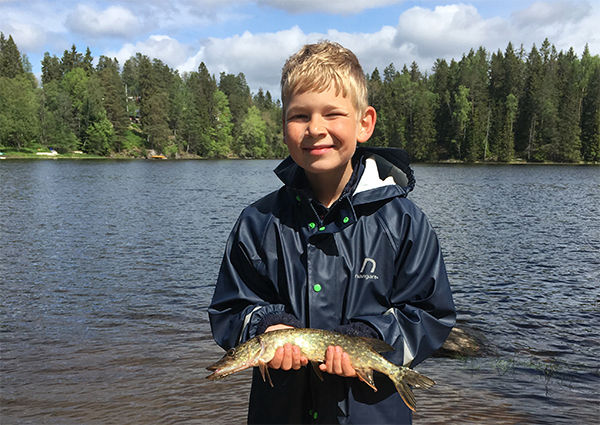 Gjeddefiske Sølvkroken Jacob si gjedde